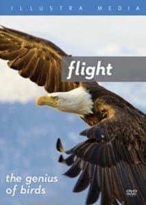 flight-genius-of-birds-illustramedia-dvd