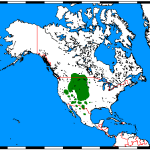 Pronghorns live where the map shows green.