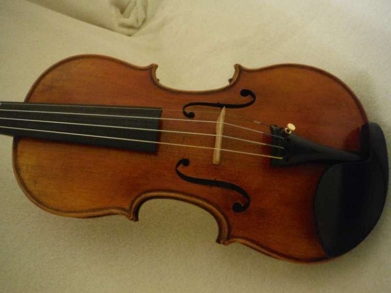 Evolution of Mammals & Musical Instruments (Or Maybe Not) The