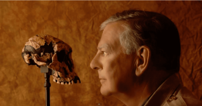 Man's profile staring at an ape's skull