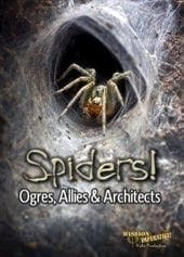 Spiders DVD cover: Mike Snavely