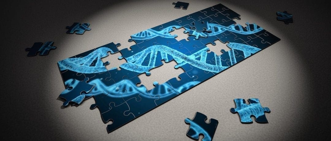 DNA pictured on an incomplete jigsaw puzzle