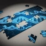 DNA pictured on an incomplete jigsaw puzzle