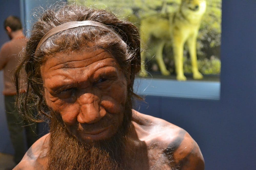 Neanderthal man model: ID 53497810 © Slawek Kozakiewicz | Dreamstime.com