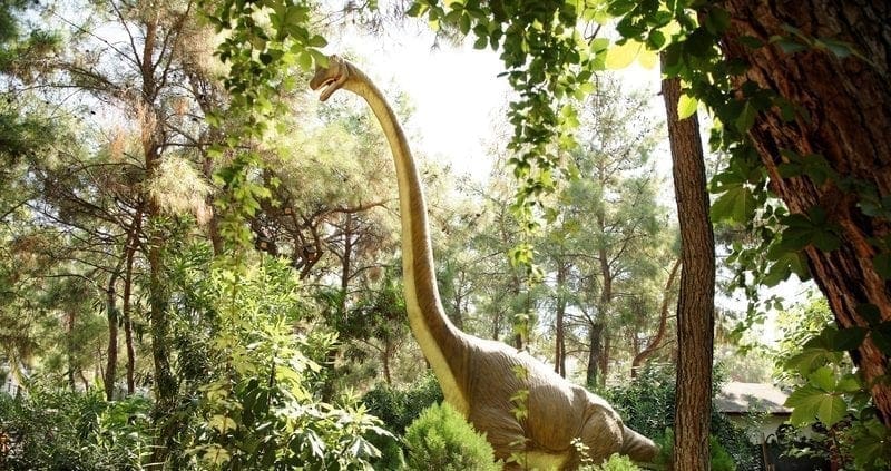 CG Sauropod in forest: ID 100356954 © Aleks49 | Dreamstime.com 