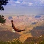 How Did The Grand Canyon Form?