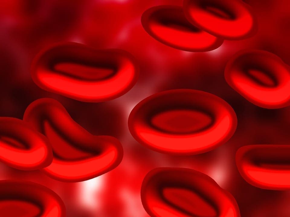 Red Blood Cells CG image, pixabay