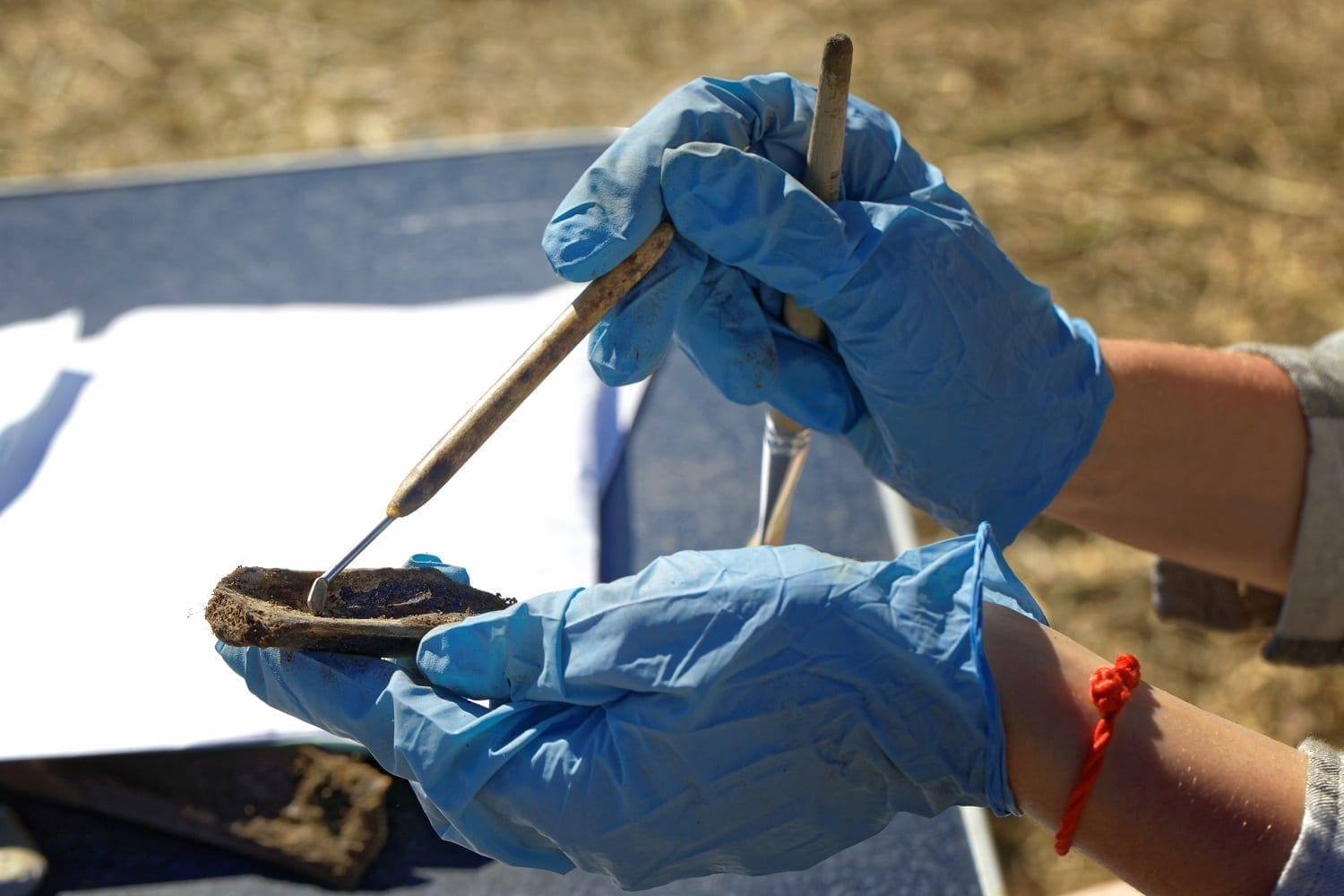 Preparing a bone from an archaeological dig site: ID 124703931 © Krugloff | Dreamstime.com