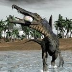 Spinosaurus eating a fish while walking in water: ID 38448909 © Elena Duvernay | Dreamstime.com