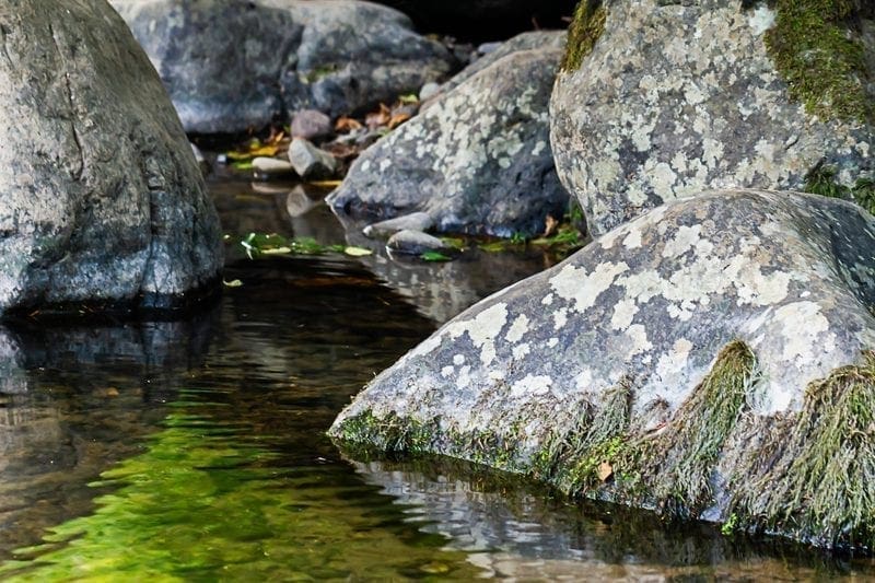 Quiet stream with large boulders, Washington State: ID 136150418 © Taya Johnston | Dreamstime.com