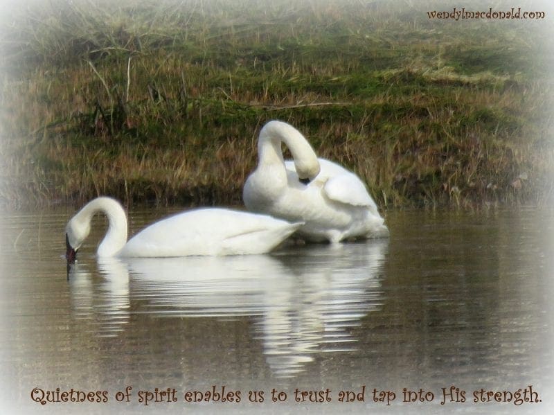 Quietness of spirit enables us to trust tap into His strength. ~wlm, Photo credit: Wendy MacDonald