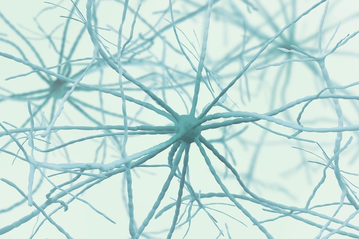 Neurons 3D image: ID 136686190 © Siarhei Yurchanka | Dreamstime.com