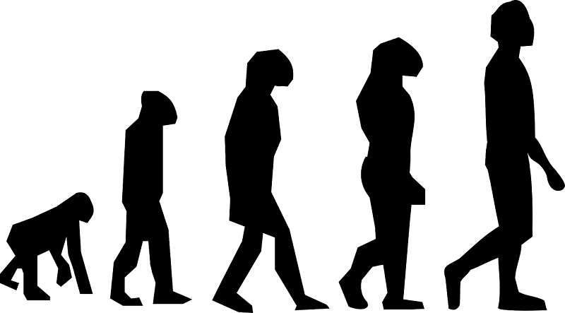 Silhouette progression of human evolution
