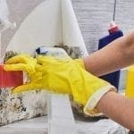 Gloved housekeeper cleaning mold from under wallpaper: ID 118227510 © Elvira Koneva | Dreamstime.com