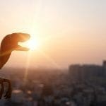 Velociraptor figure in evening sun: ID 143918801 © Freerlaw | Dreamstime.com
