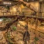 Glendive Dinosaur Museum main hall, photo credit: Tommy Lohman