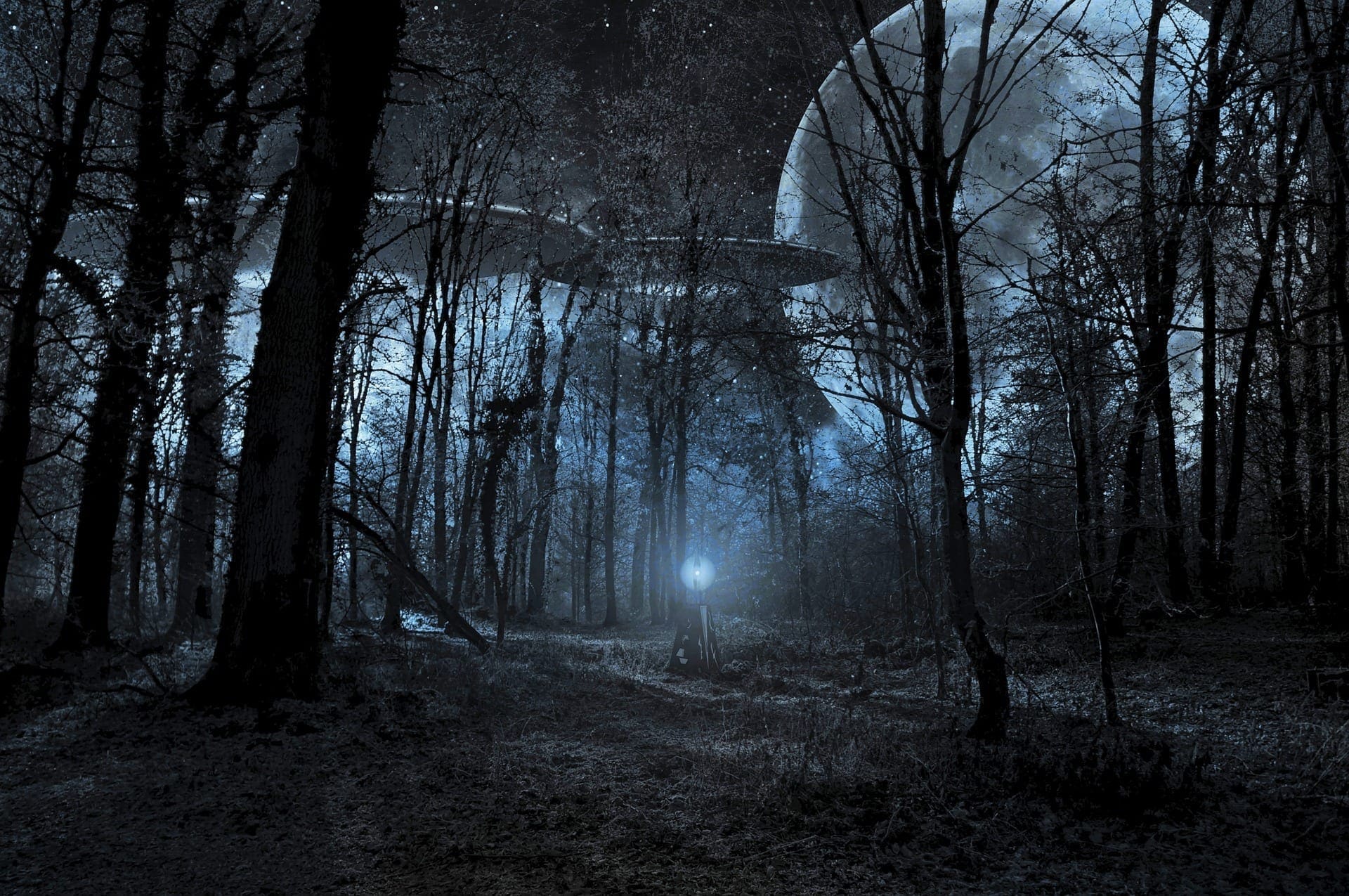 UFO? by moonlight through tree shadows