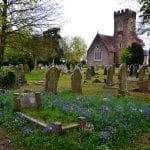 Churchyard tombstones with grape hyacinths: photo credit: pxhere