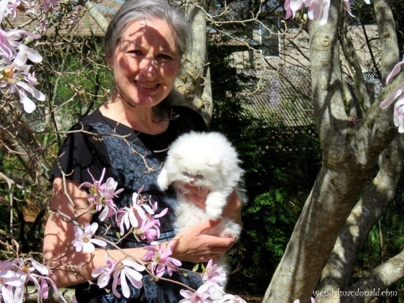 Wendy MacDonald under a blossoming tree with white kitten