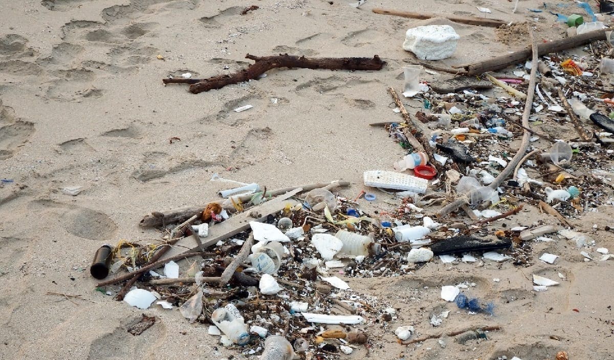Sandy beach littered with polystyrene trash, photo credit: Ian L.