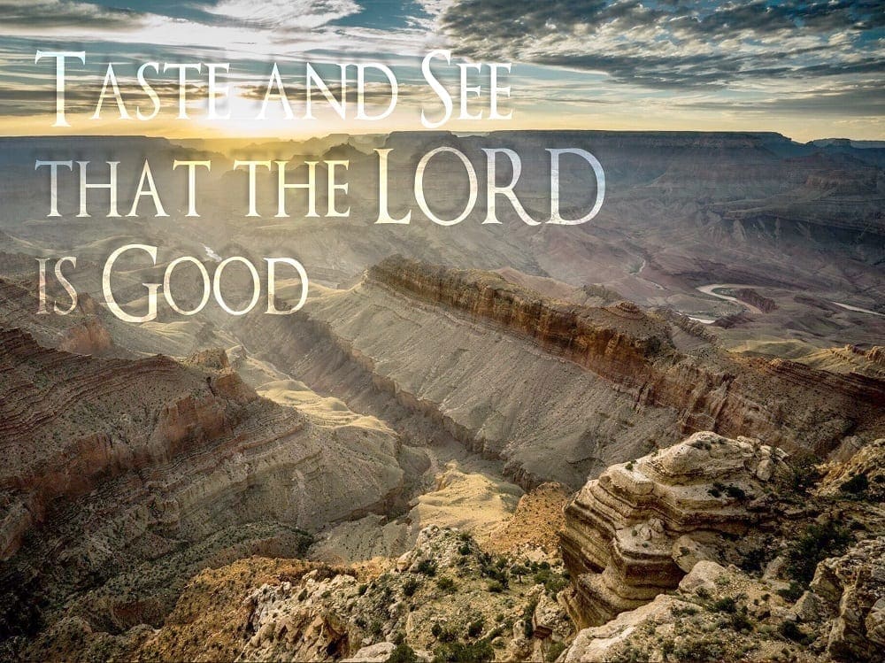 Taste and See that the LORD is Good over sunbeams and Grand Canyon, photo credit: Nate Loper