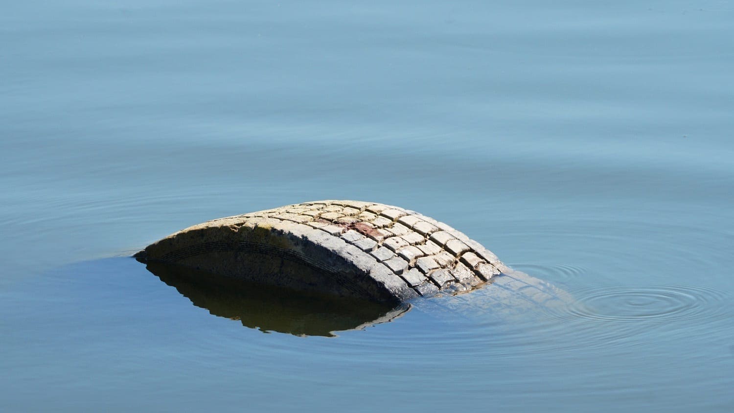Abandoned tire with edge showing above a lake's surface: Photo 115611969 © Gintas7333 | Dreamstime.com