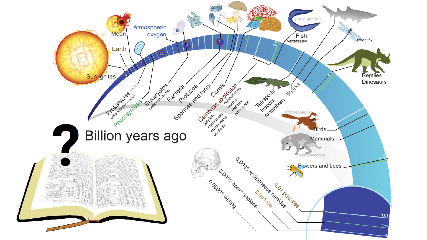 Does the Bible allow for the long timeline of evolution? Graphic built on public domain illustrations