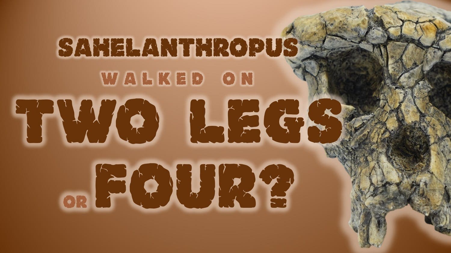 "Sahelanthropus walked on two legs or four?"