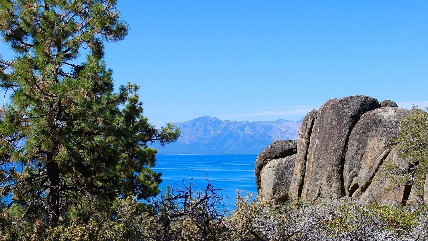 Lake Tahoe with Ponderosa Pine and rocks, photo credit: Pixabay: Tim Fagan