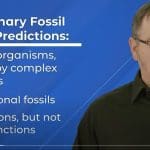Fossil Record YouTube still