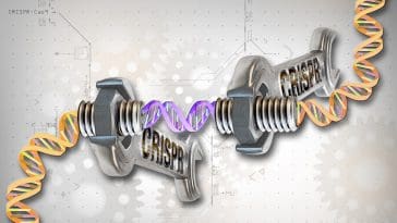 CRISPR illustration, photo credit: Ernesto del Aguila III, NHGRI