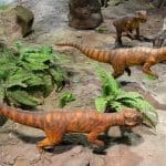 Photo 54286907 | Psittacosaurus Dinosaur © Woravit Vijitpanya | Dreamstime.com